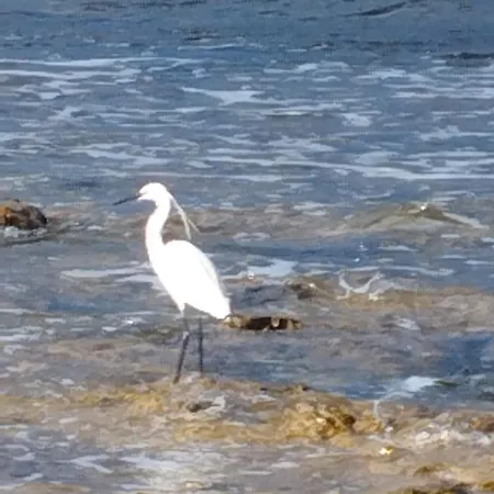 Διαμέρισμα Hola El Mar Oropesa del Mar